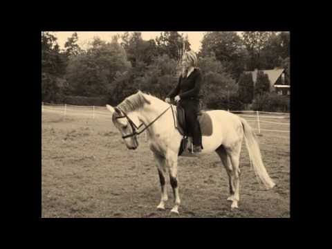 Shafee - Horses