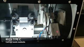 Disbudding and cutting machines for grapevine nurseries (2/2)