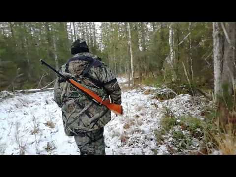 Поездка в охотничью избу к другу. Проверка солонца. Проверка капканов.