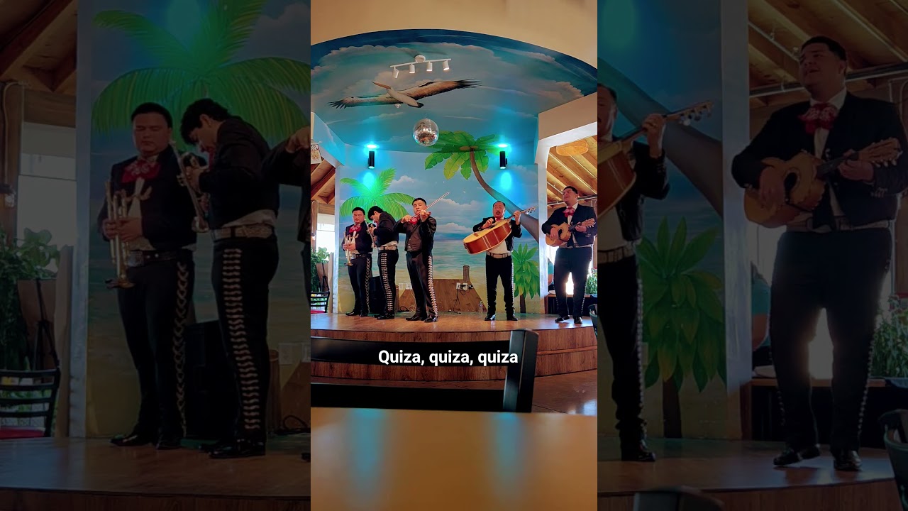 Promotional video thumbnail 4 for Mariachi Elegancia