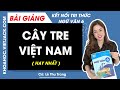 Cây tre Việt Nam (2)