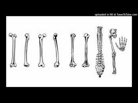 {FREE FOR PROFIT} NO MELODY NASCAR ALOE x LIL DARKIE TYPE BEAT "BONES" (PROD. BRONK)