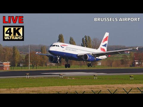 LIVE 4K PLANE SPOTTING BRUSSELS AIRPORT  EBBR | 12/12/2022