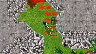 Dragon solo lvl 25 kina