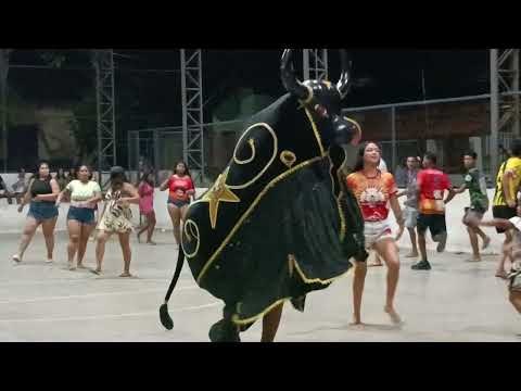 ENSAIO DO BUMBA-MEU-BOI BRILHO DA ILHA 2026 NO MORROS DA MARIANA EM ILHA GRANDE DO PIAUÍ 