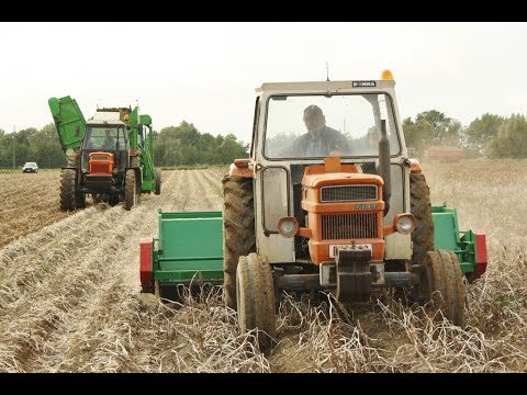 Landb. Debyser - Woesten - Fiat 1300 DT Super - Fiat 600 - AVR 230 B