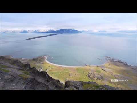 Baby Seabirds Learn To Fly | Nature's Great Events | BBC America