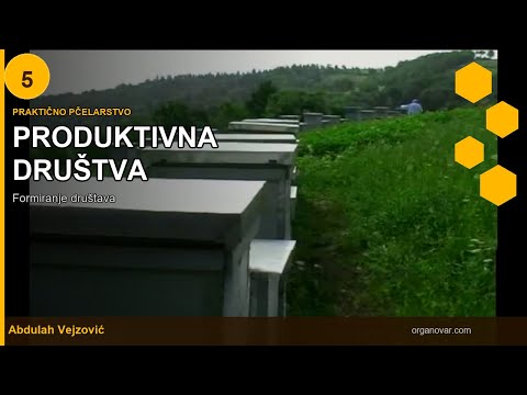 Produktivna društva