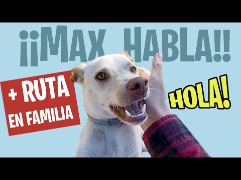 MAX HABLA + VLOG ESCAPADA en FAMILIA (EMBALSE DE LA VIÑUELA)