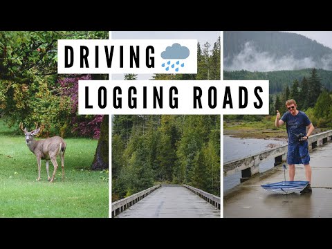 加拿大卑詩省VANCOUVER ISLAND TRAVEL VLOG|雨天駕車在LOGGING ROADS上行駛？ (VANCOUVER ISLAND TRAVEL VLOG | Rainy Day Driving on LOGGING ROADS, BC, Canada ?️?)