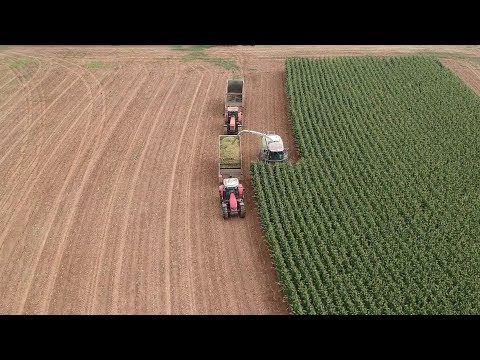 Final Corn Silage Harvest of 2019 | Packing and Covering Bunker Silos