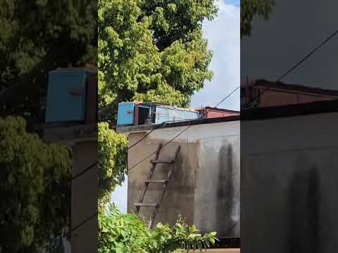 Captura #12 de esta paloma