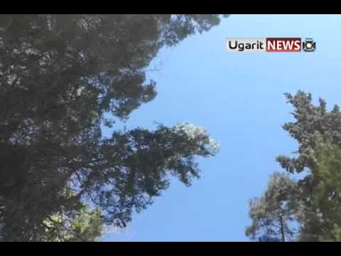 استهداف دبابة تابعة لقوات النظام من قبل لواء بشائر النصر في محافظة دير الزور