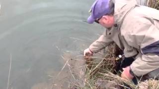 preview picture of video 'Neil goodings with a big Brownie from Monty's Lake!'