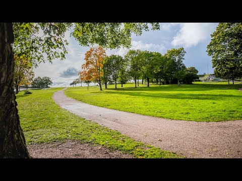 Webinar: Circular economy - from nice words to practice