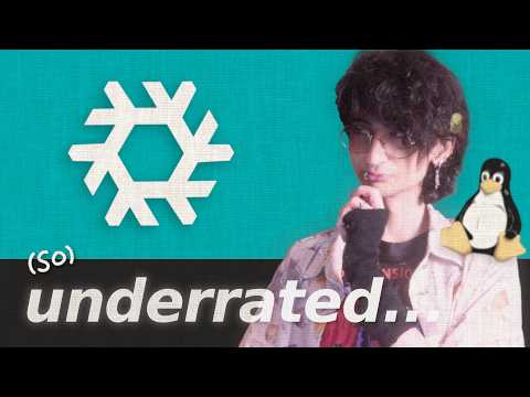 NixOS is an amazing linux distro...