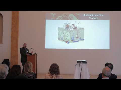 Bartonella in Chronic Infection, persistence and challenges of treatment - Dr. Ricardo G  Maggi
