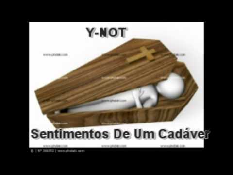 Y-NOT  Sentimentos de Um Cadaver