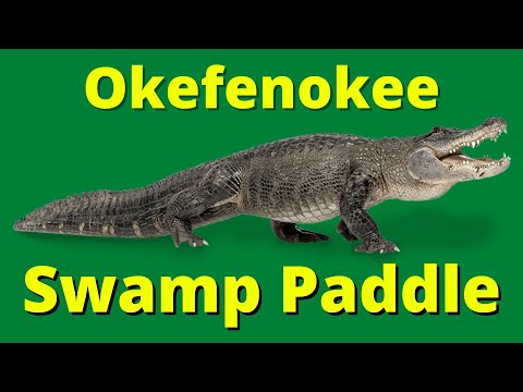 OKEFENOKEE SWAMP KAYAK DAY TRIP