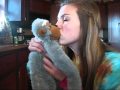 Allie Again