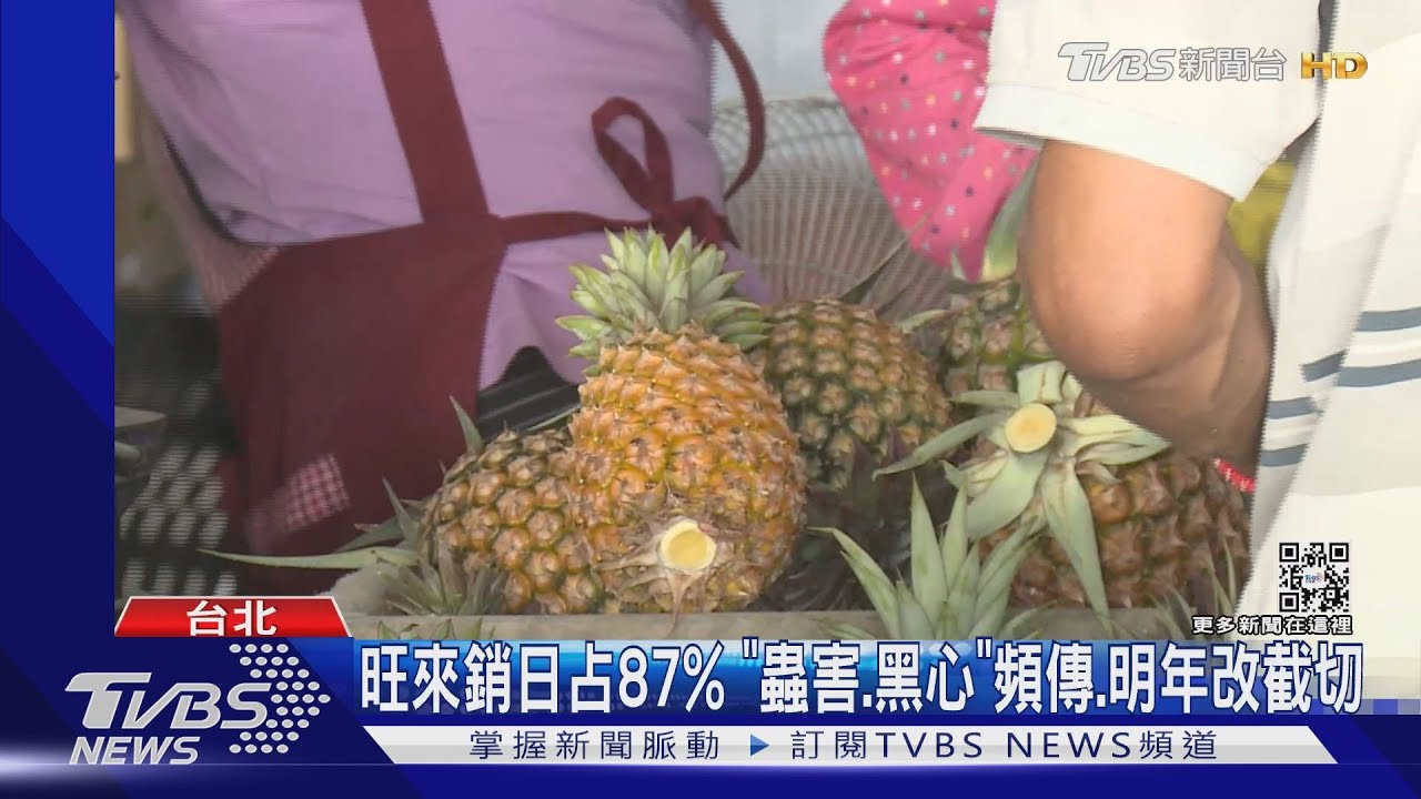 鳳梨外銷差3成、少9千噸　陳吉仲：產地價多2元