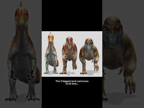 THE BIG 3🔥 #trex #spinosaurus #giganotosaurus #dinosaur #prehistoric #edit #thebig3 #tyrannosaurus
