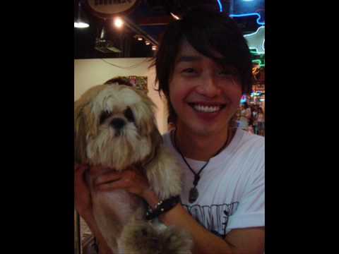 nicholas teo-little turtle mv