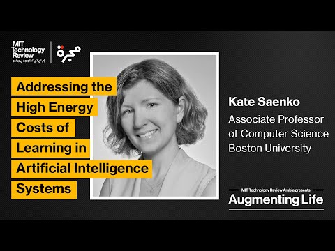 Addressing the High Energy Costs of Learning in Artificial Intelligence Systems