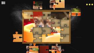 Kitty Cat: Jigsaw Puzzles Steam Key GLOBAL