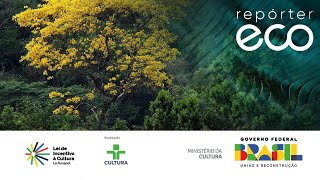 Repórter Eco | Pesquisa na Mata Atlântica | 28/04/2024