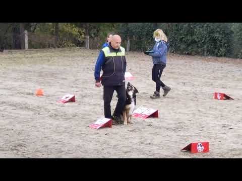 Rally-o 1° classificato