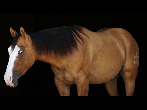 youtube preview