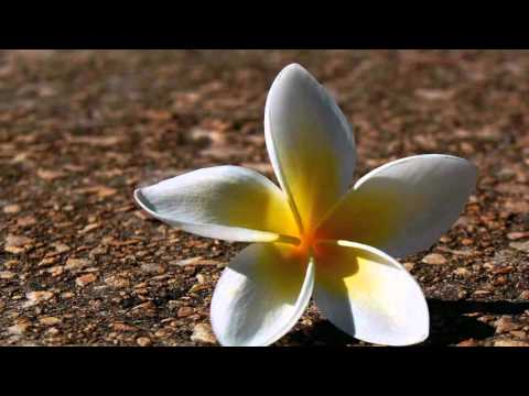 Rugul Aprins Londra - Domnul este locul meu de adapost [Album NOU: Dar nu te teme] 2016