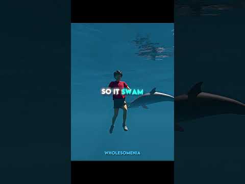 The Sweetest Dolphin Ever 🐬❤️