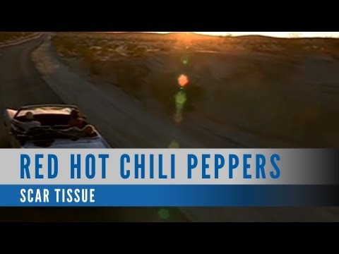 Red Hot Chili Peppers - Scar Tissue (Official Music Video)