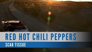 Download lagu Red Hot Chili Peppers - Scar Tissue mp3