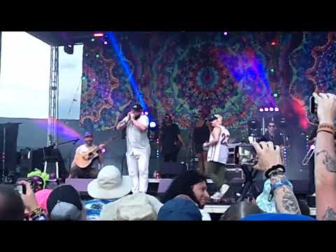 Little Stranger - Finest ? - Everwild 2023