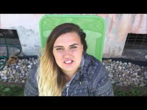 Benefiční koncerty pro psí nadační fondy (Pomoc pejskům)