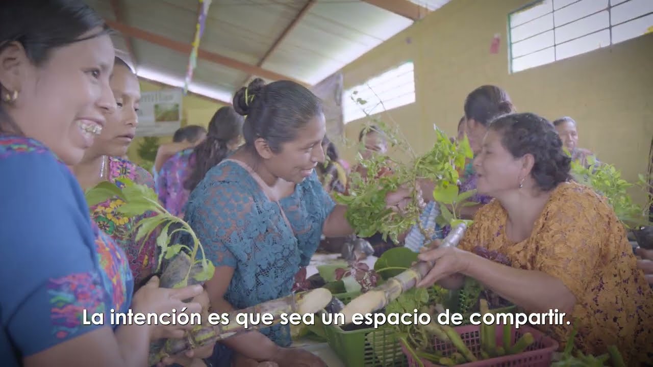 Intercambio de semillas Comunidad Chilte