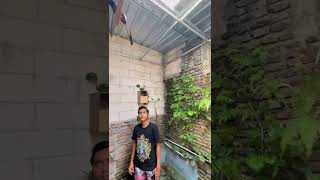 Download lagu MENYALURKAN HOBI MENJADI REZEKI ‼️ MURAI BATU DI KANDANG AVIARY RONGGOLAWE mp3