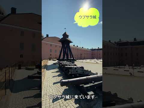 スウェーデン留学はいかが？ パート1 #shorts
