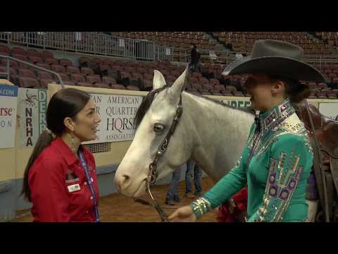 NRHA Derby 2017 – Stephanie Gripp