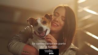 TOTTO ¡Descubre TOTTO Pets! Una colección de productos para tus mascotas anuncio