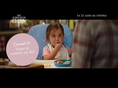 Mes autres vies de chien | Cutdown 15 | FR | 21 août au cinéma