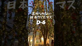 日本で過ごした、忘れられないクリスマス！