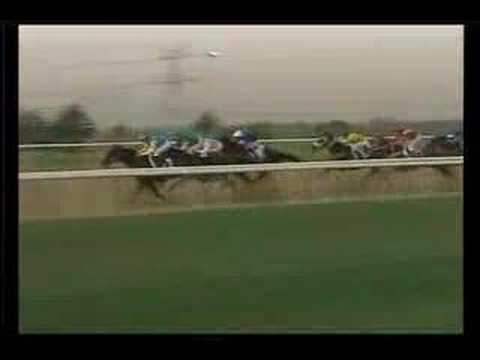 '08 U.A.E Derby - Honour Devil