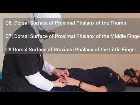 Spinal Cord Injury Sensory Exam - Part 2