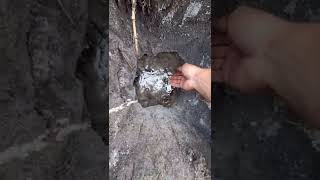 Download lagu Baru gali tanah sedikit keluar air #shorts #water #soil #hack #shortvideo mp3