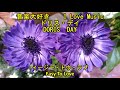 ドリス・デイ　"イージー・トウ・ラブ"   　  I Love Music    DORIS DAY  "Easy To Love"