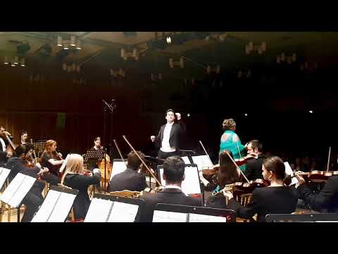 Emmerich Kálmán: "Höre ich Zigeunergeigen" aus der Operette "Gräfin Mariza"